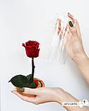 Довговічна червона троянда на стеблі в колбі, фото 3