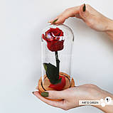 Довговічна червона троянда на стеблі в колбі, фото 2