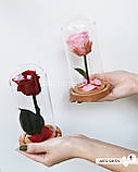 Довговічна червона троянда на стеблі в колбі, фото 8