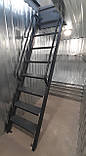 Металева драбина 1800х1200, фото 10