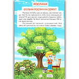 Пізнаємо світ разом Тварини і рослини Авт: Гуріна В. Вид: Белкар, фото 2