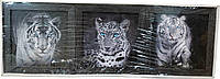 Набор картин-репродукций "Леопард" (21 x 21 см, 3 шт.) RP0037