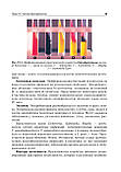 Звєрєва. Бойченко Медична мікробіологія, вірусологія та імунологія. Підручник у 2-х томах, фото 9