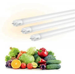 Світлодіодна лампа трубчаста Т8 19Вт 3084Лм 1500мм для вітрин з овочами фруктами зеленню