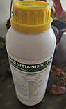 Ентоцид ( Метаризин ) 1 л | Біологічний ґрунтовий інсектицид | Энтоцид [ Ензим Агро ], фото 3