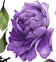 Вінілова інтер'єрна наклейка Акварельні квіти півоній у кольорі індиго, "S" від 15 до 25 см