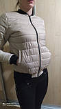 Весняна жіноча куртка бомбер розмір 42 44 46 48 50 52 різні кольори жіночої куртка новачка для дівчат, фото 6
