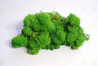 Стабилизированный мох Green Ecco Moss cкандинавский мох ягель Apple Green 1 кг
