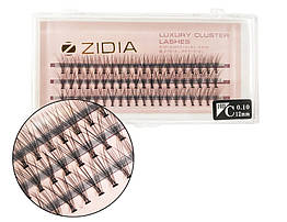 Вії накладні пучкові Zidia Cluster Lashes 10D C 0.10 (3 лєнти, розмір 12 мм)