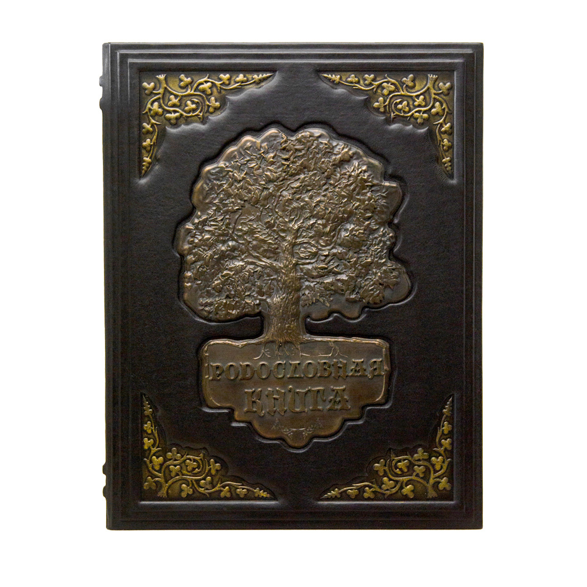 Родословная книга нашої сім'ї