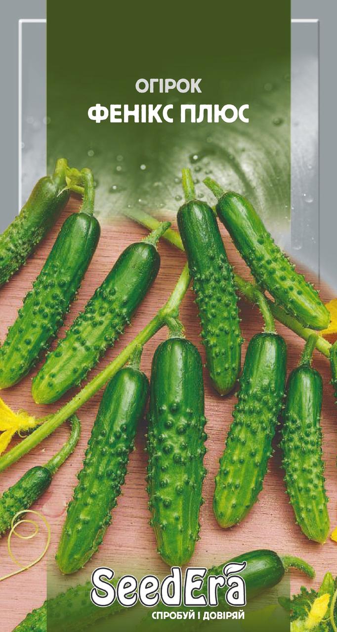Огірок Фенікс Плюс 1 г, Seedera
