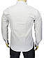 Чоловіча сорочка Negredo 1072 BDS 07 білого кольору у великому розмірі, фото 3