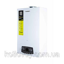 Газова колонка Thermo Alliance димохідна JSD20-10N-QB 10 л EURO+, фото 4