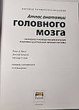Томас Вулсі, Ханауэй, Гадо Атлас анатомії головного мозку Наочне керівництво для вивчення анатомії ЦНС, фото 3