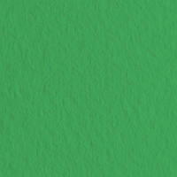 Набір паперу для пастелі 10л. Tiziano A3 (29,7 * 42см) 160г / м2 №37 biliardo зелена (А372942137)