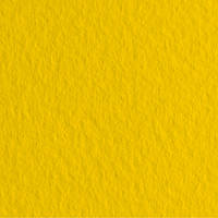 Набір паперу для пастелі 10л. Tiziano A3 (29,7 * 42см) 160г / м2 №44 oro жовта (А372942144)