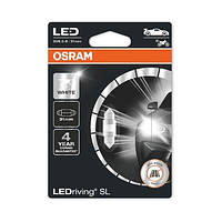 Автолампи світлодіодна C10W LED 12V 1W 6000K 31MM SV8.5-8 Osram LEDRiving SL Cool White-Холодний Білий