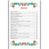 Веселка В гостях у казки Вид: Белкар, фото 4