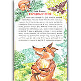 Веселка Казкова країна Авт: Кирпа Г. Вид: Белкар, фото 2