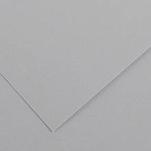 Папір для пастелі MI-TEINTES® 50X65 160G GRIS CLAIR 426