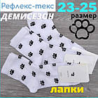 Шкарпетки жіночі високі весна/осінь р.23-25 лапки білі Рефлекс Текс 30030841, фото 2