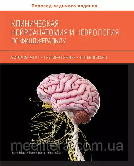 Мтуи Клінічна нейроанатомия і неврологія по Фітцджеральда. Керівництво для лікарів