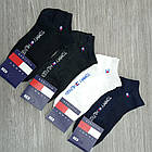 Шкарпетки жіночі короткі літо сітка р.36-41 асорті SPORT ТН Туреччина 30030988, фото 6