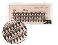 Ресницы накладные пучковые Zidia Cluster Lashes 20D C 0.10 (3 ленты, размер 12 мм)