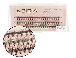 Вії накладні пучкові Zidia Cluster Lashes 10D C 0.10 Mix (3 лєнти, розмір 8/10/12 мм)