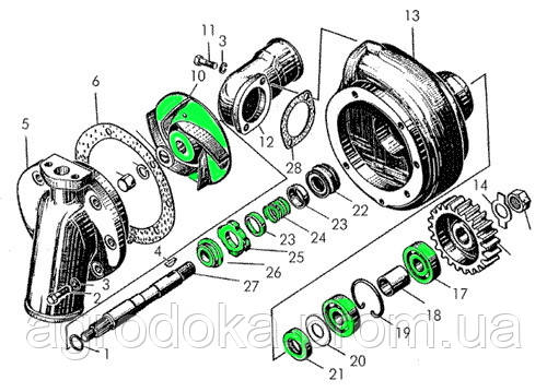 Схема водяного насоса