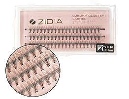 Вії накладні пучкові Zidia Cluster Lashes 10D C 0.10 (3 лєнти, розмір 10 мм)