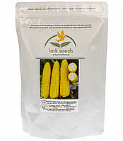 Кукуруза Добрыня F1 lark seeds 1250 шт (пів пачки)