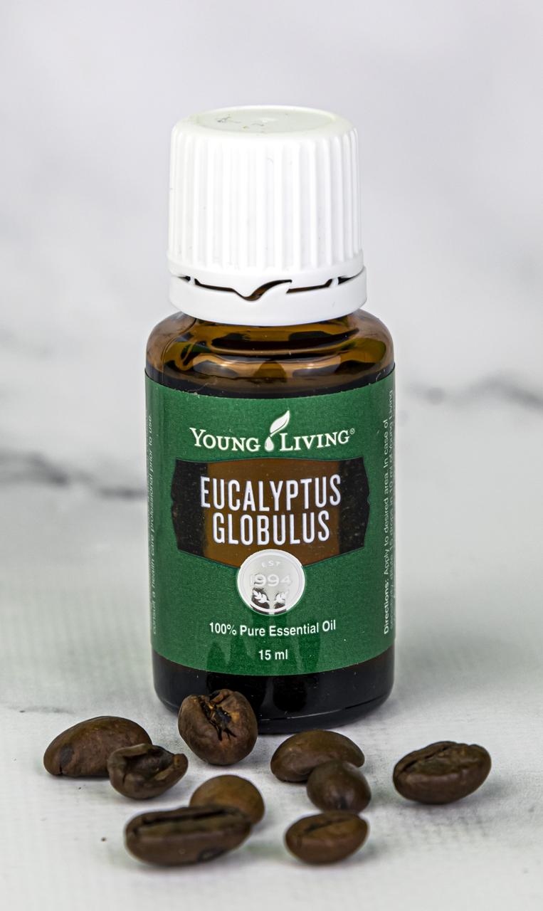 Ефірна олія Евкаліпту кулястого (Eucalyptus globulus) Young Living 15 мл