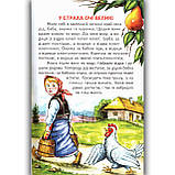 Веселка Мандрівка у казку Вид: Белкар, фото 2