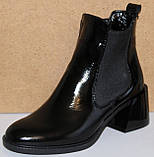 Челсі лакові жіночі шкіряні від виробника модель КС303Р, фото 2