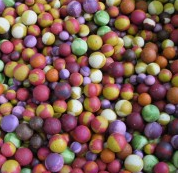 Бойли насадкові варені