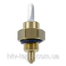 0020025232 Датчик НТС занурювальний Protherm, фото 1