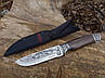 Ніж мисливський «Вовк бурий» у подарунковій коробці, фото 3