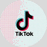 Тарілка святкова одноразова Соцмережі Тік Ток