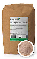 Псиллиум в порошке, Подорожник блошиный молотый (Plantago afra) Psyllium 5 кг, PL