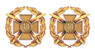 Беретний знак загальновійськовий Жовтий ПЛАСТИК! (темна бронза), фото 1