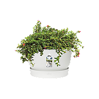 Горшок для цветов Elho Greenville bowl круглый 11,6л 33 x 19 см (332266), Цвет Белый