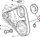 Ремінь генератора на Fiat Ducato 230, Peugeot Boxer, Citroen Jumper (1994-2002) 2.5/2.8, 504171190, 128065, фото 4