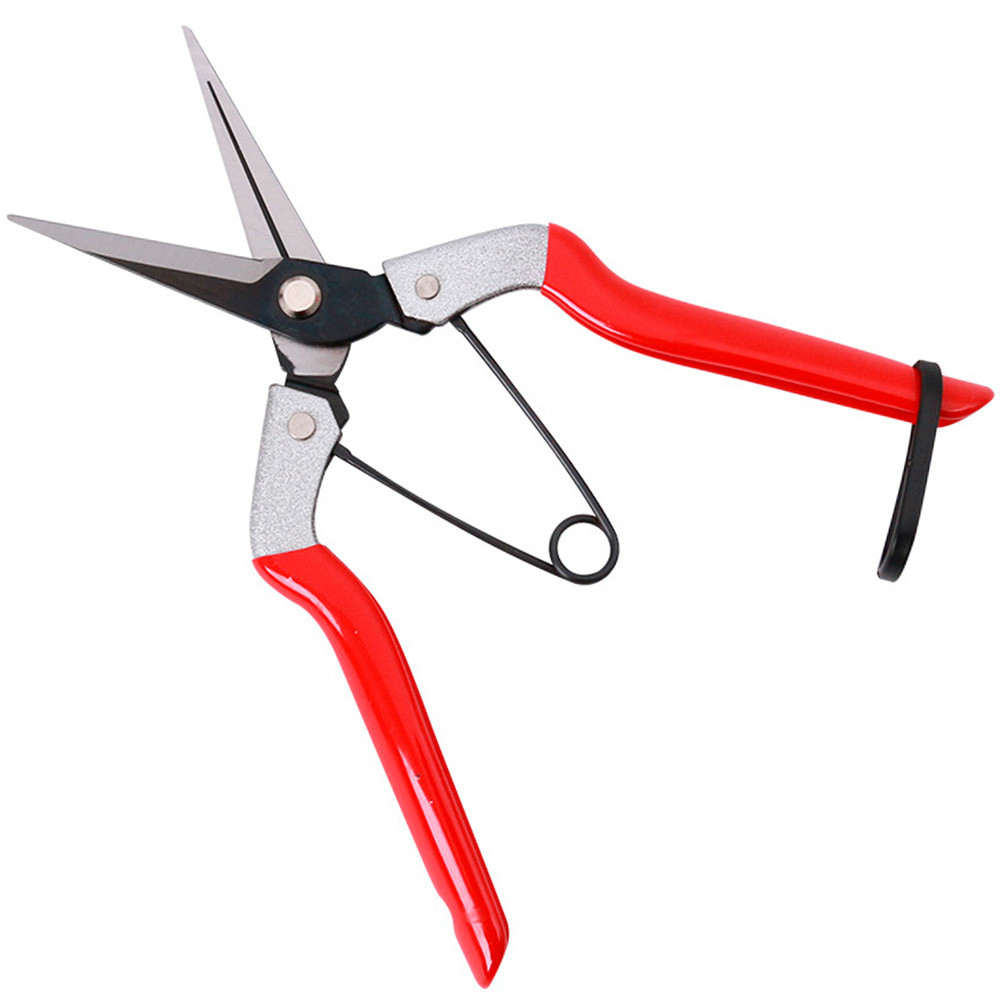 Секатор для орхідей SAGAWATA WS-901, ножиці для збирання фруктів., фото 1