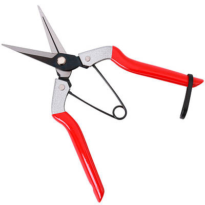 Секатор для орхідей SAGAWATA WS-901, ножиці для збирання фруктів.