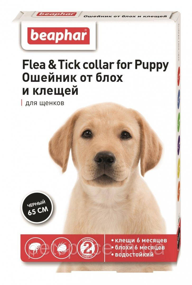 Нашийник від бліх та кліщів Beaphar Flea & Tick Collar (Біфар для цуценят) 65см.