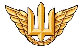 Беретний знак Повітряних Сил Жовтий ПЛАСТИК! (темна бронза), фото 1
