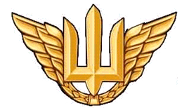 Беретний знак Повітряних Сил Жовтий ПЛАСТИК! (темна бронза), фото 2