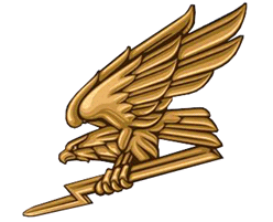 Беретний знак Авіації (на пілотку) Жовтий ПЛАСТИК! (темна бронза), фото 1