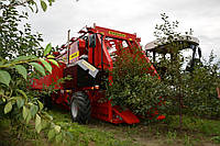 Комбайн для уборки вишни и слив в садах WEREMCZUK FELIX